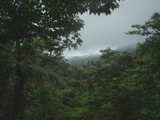 morning in the mountains