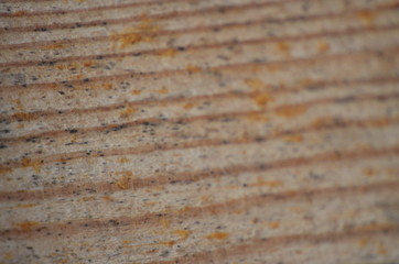 Drewniana tekstura