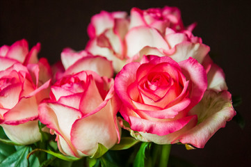 Lovely bouquet with big flowers of roses of bright pink and white color are staying on the table. Green leaves and thorns. Still life. Brown  background