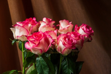 Lovely bouquet with big flowers of roses of bright pink and white color are staying on the table. Green leaves and thorns. Still life. Brown  background