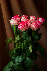 Lovely bouquet with big flowers of roses of bright pink and white color are staying on the table. Green leaves and thorns. Still life. Brown  background