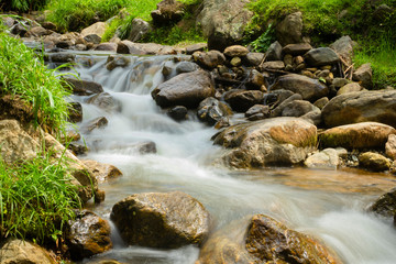 Beautiful landscape of stream in forest