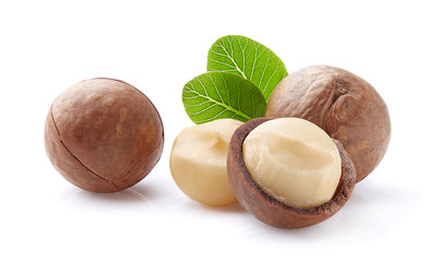 Macadamia with leaves on white background