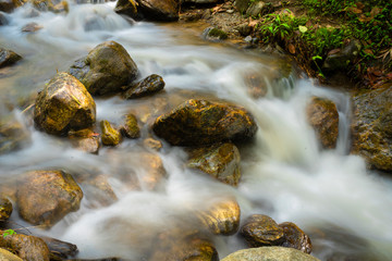 Beautiful landscape of stream in forest