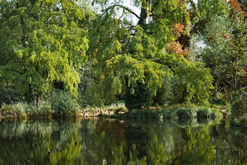 Fototapeta premium Potsdam, park, landscape, background, Potsdam, park, landscape, background.