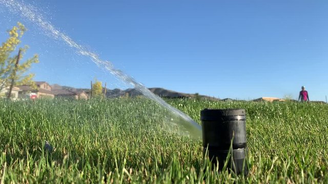 Close-up of Sprinkler Head Watering a Lawn