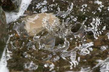 Puddles after rain, water drops close view. Nature.