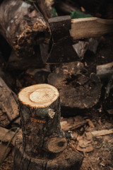 An ax chopping a log. Nature and sawdust. Work in the village.