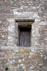 wooden door in old wall