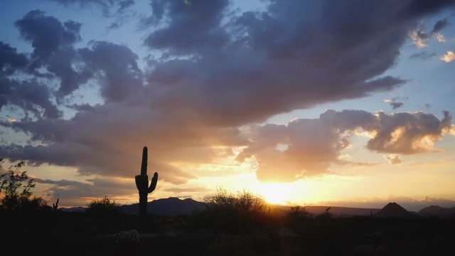 Glorious Desert Sunset with Saguaro