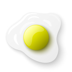 Fried egg. Omelette. Vector illustration.