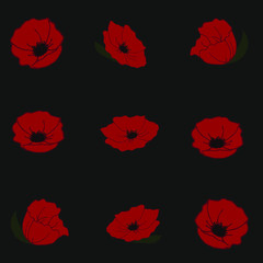 set of poppy flowers. Seamless pattern with red poppies on a black background.