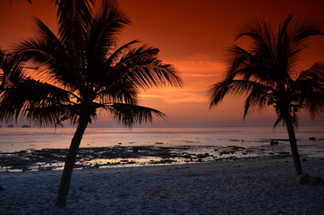 Rajska plaża na wyspie Koh Samui w Tajlandii  oświetlona promieniami zachodzącego Słońca - obrazy, fototapety, plakaty