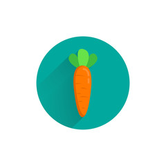 carrot, yummy colorful flat icon with long shadow. carrot flat icon