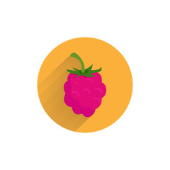 Red raspberries colorful flat icon with long shadow. raspberries fruit flat icon
