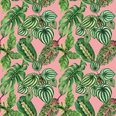 Watercolor painting colorful tropical palm leaf,green leaves seamless pattern background.Watercolo hand drawn illustration tropical exotic leaf prints for wallpaper,textile Hawaii aloha jungle style.