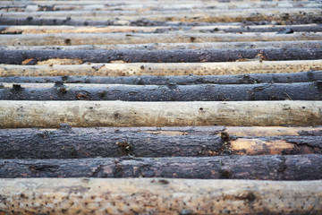 Wooden logs wall of rural house background.