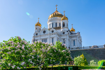 Fototapeta na wymiar Cathedral of Christ the Savior (Khram Khrista Spasitelya) in spring, Moscow, Russia