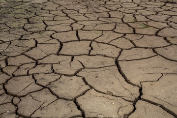 Pattern of Cracks in Dry Mud in Reservoir - Ireland