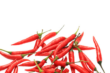 Hot Red Chili on white background
