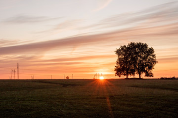 Fototapeta na wymiar a lone tree in a field on the horizon at dawn