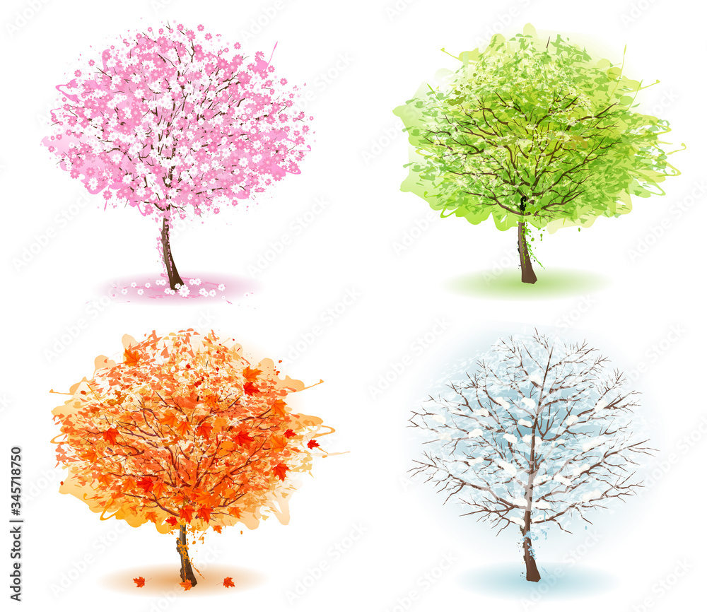 Poster nature four stylized trees representing different seasons. vector.