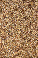 Layer of buckwheat. Grocery background of buckwheat.