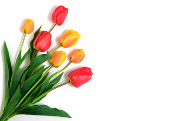 Red and yellow tulips on a white background.