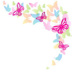 butterfly582
