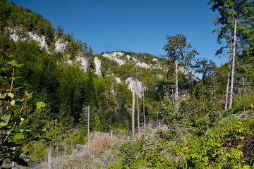 Tourist trail and surroundings while walking through Kvaciansko - Prosiecka valley.