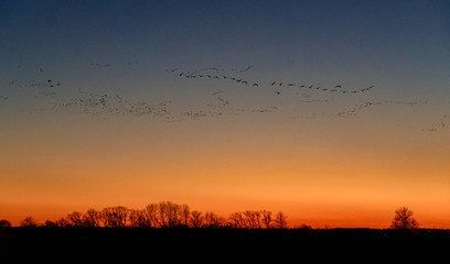 Dämmerung mit Vögel3