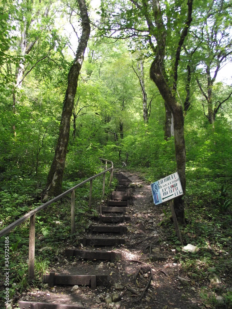 Poster hiking trail in the woods