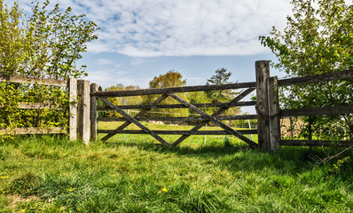 Fototapeta na wymiar old wooden gate