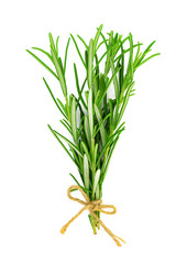 Studio shot of a fresh green rosemary bunch tied by a burlap string and isolated on a white background in close-up
