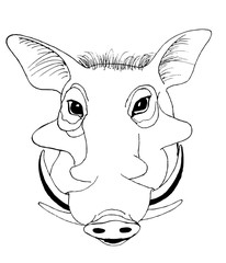 Portrait of an African pig called warthogs. Black and white drawing for coloring - 345728311