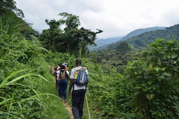 A group of hikers in the panoramic mountain landscapes in rural Uganda, Rwenzori Mountains National Park, Uganda 