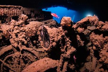 Motorbike on Thistlegorm wreck
