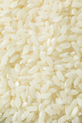 Raw Organic Dry White Rice