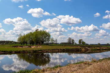 Wiosna w Dolinie Narwi. Wiosenne Podlasie. Tykocin, Strękowa Góra, Podlasie, Polska