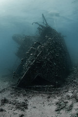 Ghiannis D