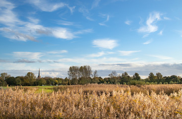 Obraz premium Tradycyjny, holenderski krajobraz. Rezerwat przyrody w Holandii Północnej.