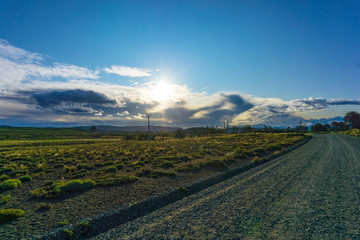 nice view sun atardecer