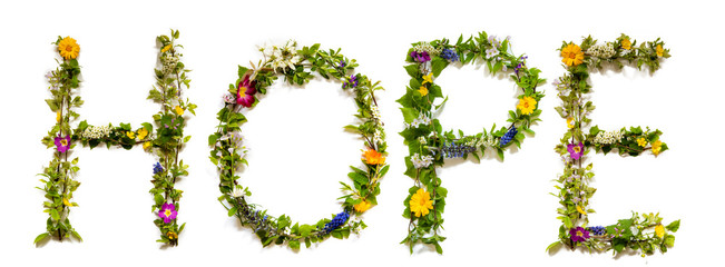 Flower, Branches And Blossom Letter Building English Word Hope. White Isolated Background