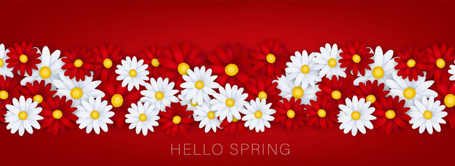 Hello Spring banner or newsletter header. White and red realistic daisy flowers. Floral design wallpaper. Vector illustration.