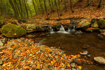 River with cascades and a waterfall in the autumn forest. Stones overgrown with moss. Fallen leaves on the shore.