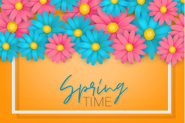 Spring time banner or brochure. Blue and pink realistic daisy flowers on orange background. Floral design wallpaper. Vector illustration.