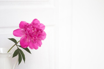 Pink peonies in white enamelled vase. Blooming flower over white walls of provence interior. Cozy Home interior with decor elements. White peonies in a vase on a white background.