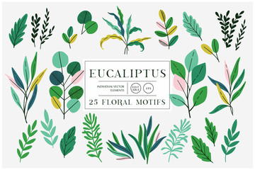 Eucaliptus set isolated on bright background. Vector modern design for t-shirt,print material,cloth and textile. For invite and wedding card,wallpaper,poster,greeting card - 345736358