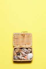 Summer time concept with seashells starfish and chest on yellow background
