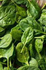 Raw Organic Fresh Baby Spinach